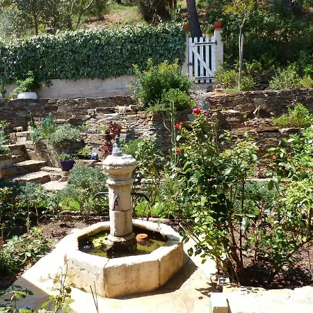 Logement Zen Sur La Colline Aux Mimosas Hyeres Exterior photo