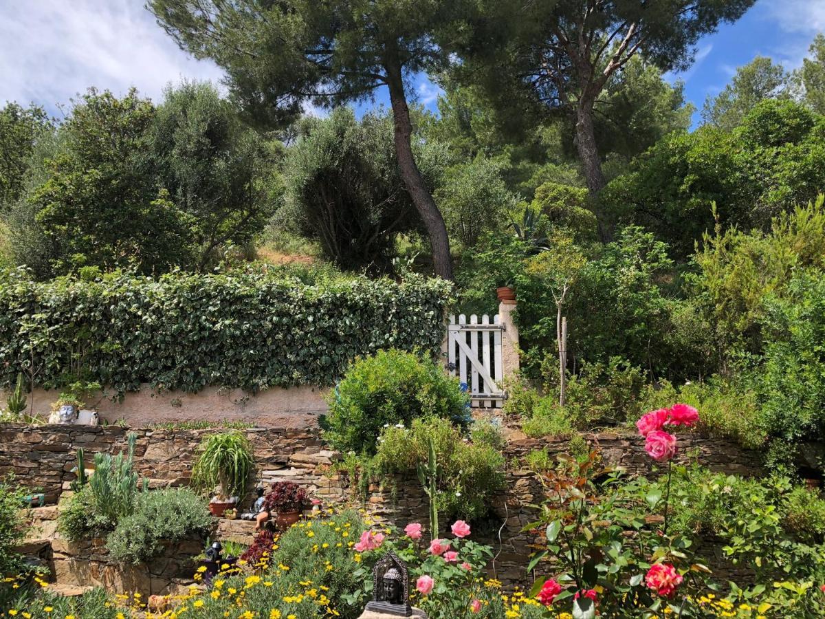 Apartment Zen Sur La Colline Aux Mimosas Hyeres