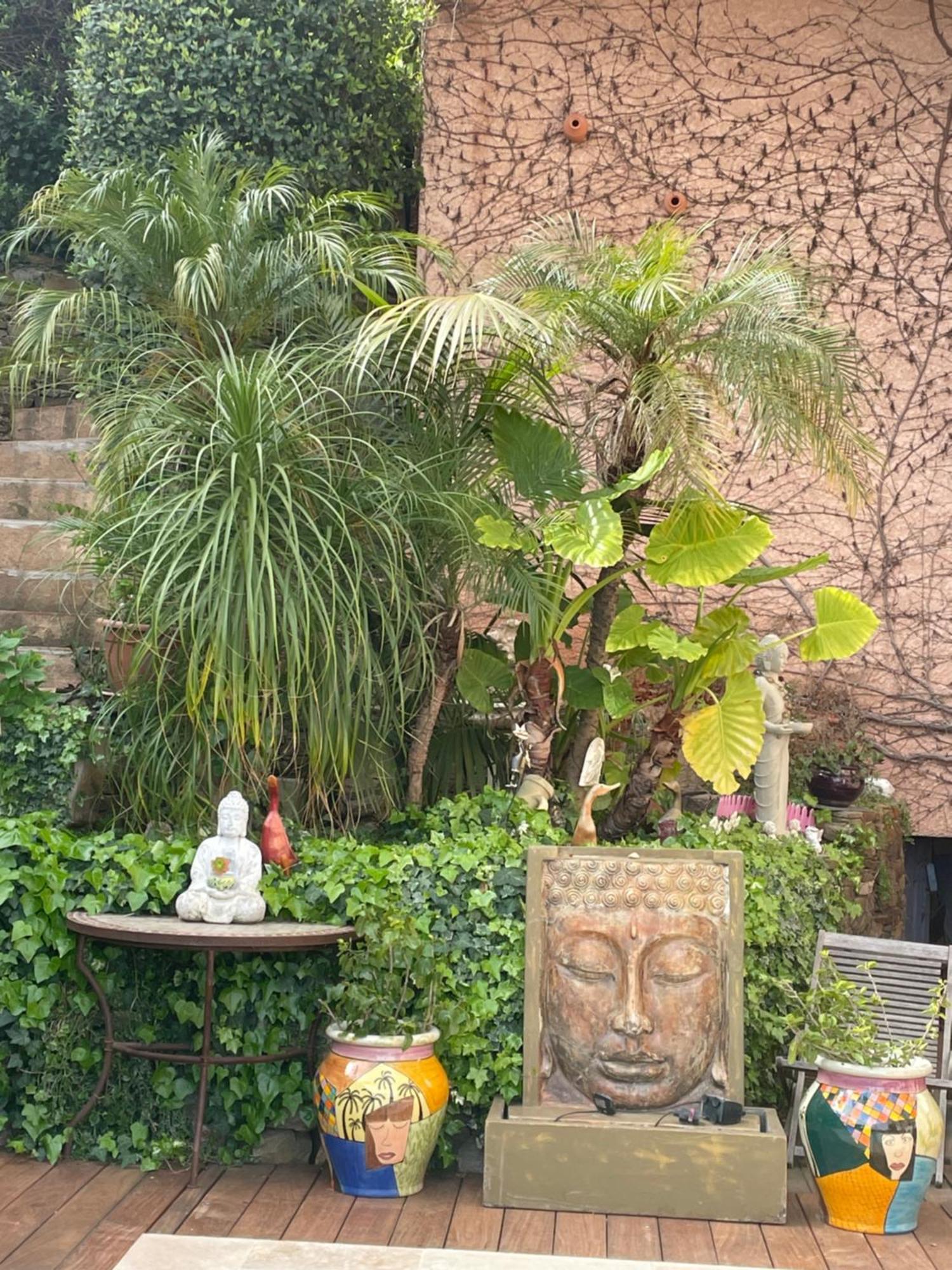 Zen Sur La Colline Aux Mimosas *