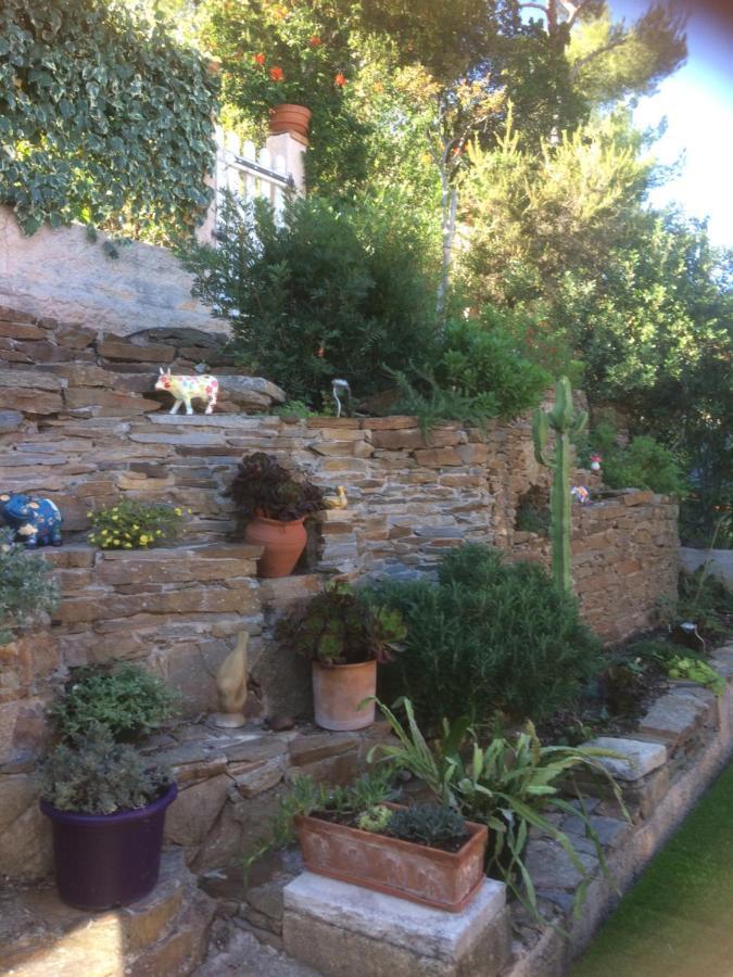 Zen Sur La Colline Aux Mimosas Apartment Hyeres